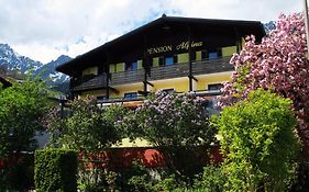 Café Pension Alpina